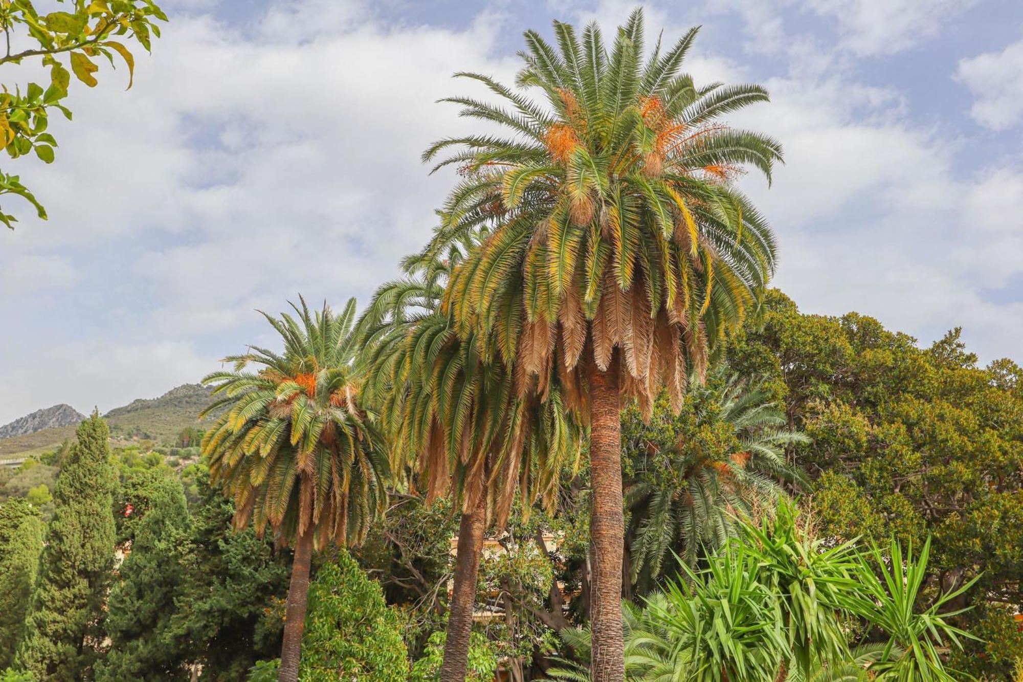 "Le Garavan Palace" Idyllique, Proche Gare Et Plage Menton Exteriér fotografie